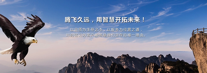 腾远智拓-企业文化的精髓融入我的世界